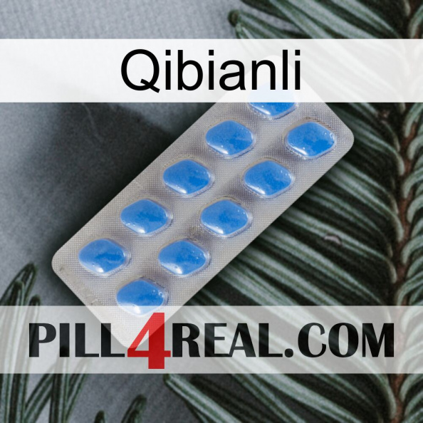 Qibianli 22